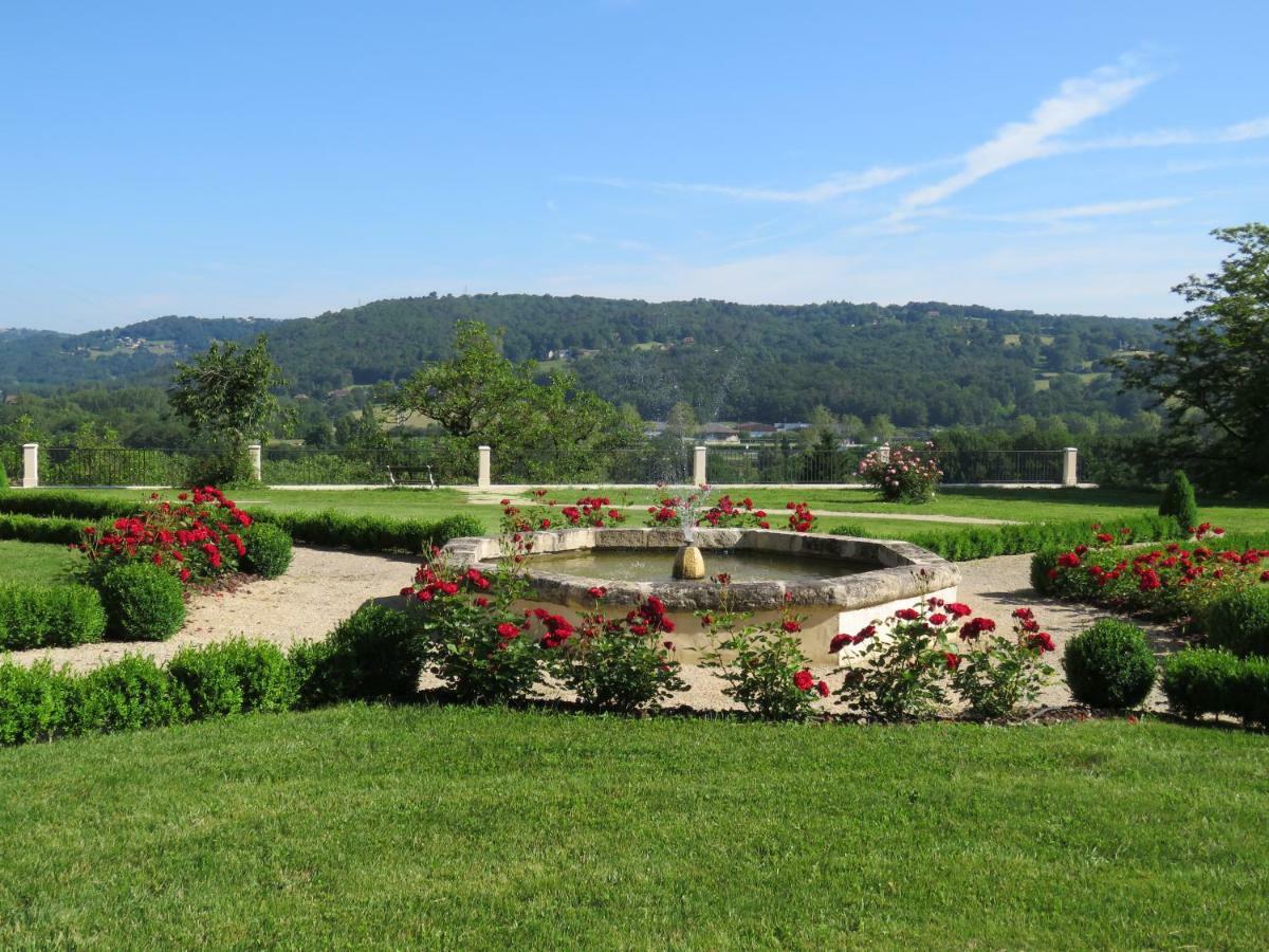 Chateau De Gaubert Bed & Breakfast Terrasson Екстериор снимка