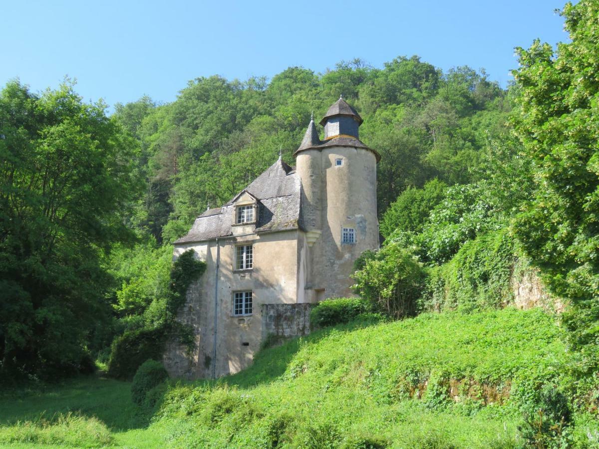 Chateau De Gaubert Bed & Breakfast Terrasson Екстериор снимка