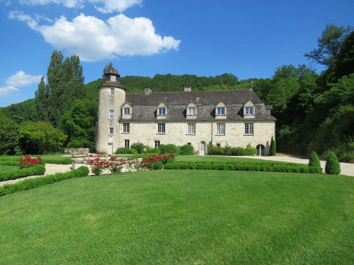 Chateau De Gaubert Bed & Breakfast Terrasson Екстериор снимка