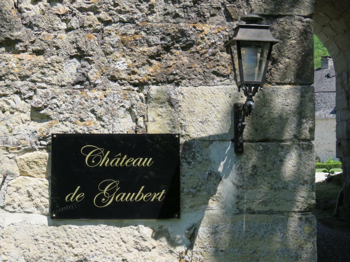 Chateau De Gaubert Bed & Breakfast Terrasson Екстериор снимка